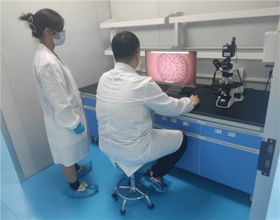 97dbbe7a5a7c61fd7cef9805f729523