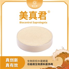 美真君