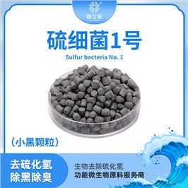 硫细菌1号(颗粒)