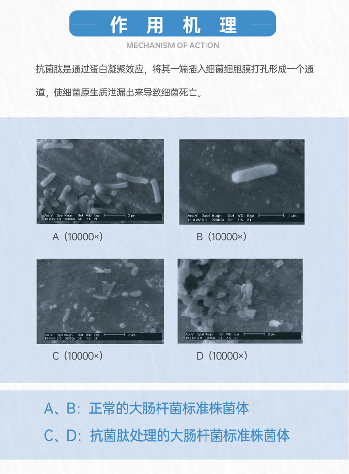 详情页06.jpg