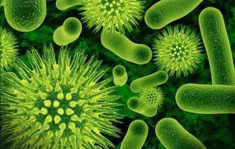 可视化技术助力深海硫细菌代谢监测新突破
