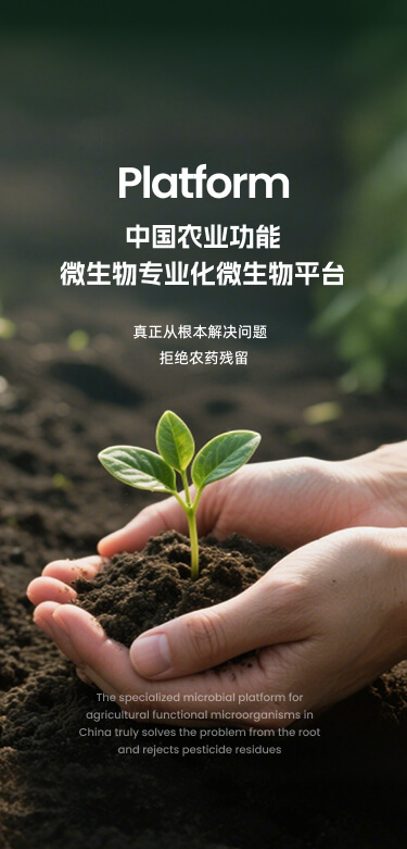 微立旺
