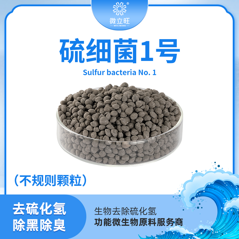 硫细菌3号-不规则颗粒